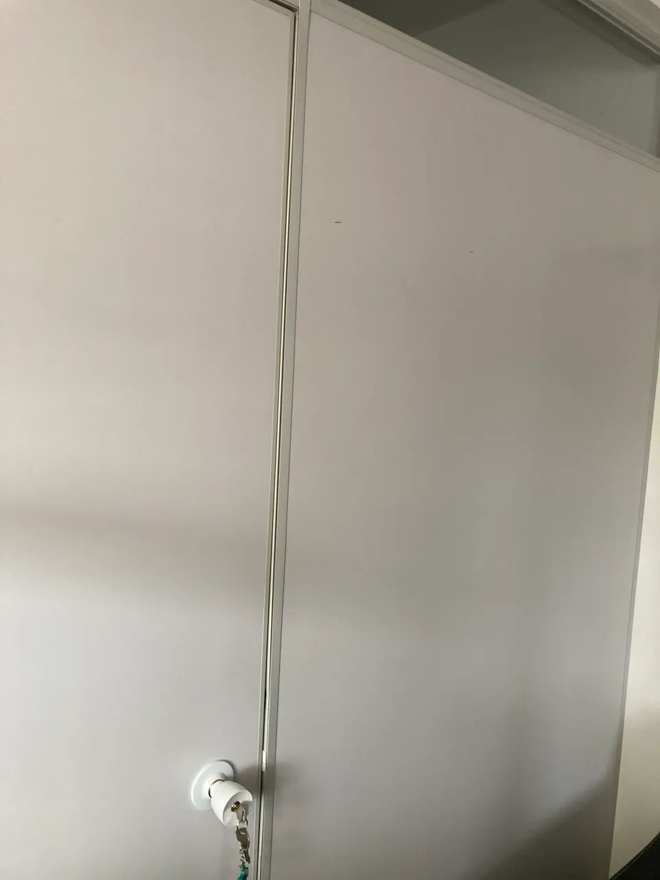 Partition for pickup64529716305025122