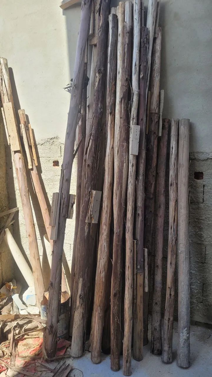 Escora Eucalipto 64850323222401121