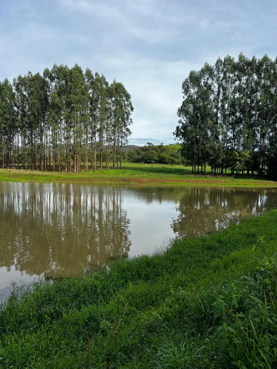 Fazenda modelo 165 Alqueires! - Foto 2