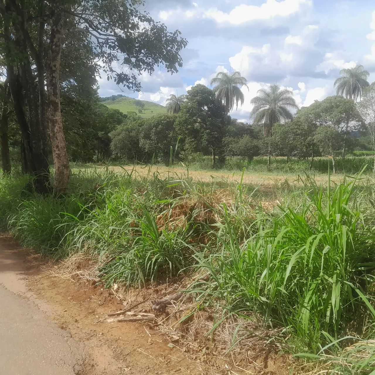 Chacaras em sitio novo  - Foto 3