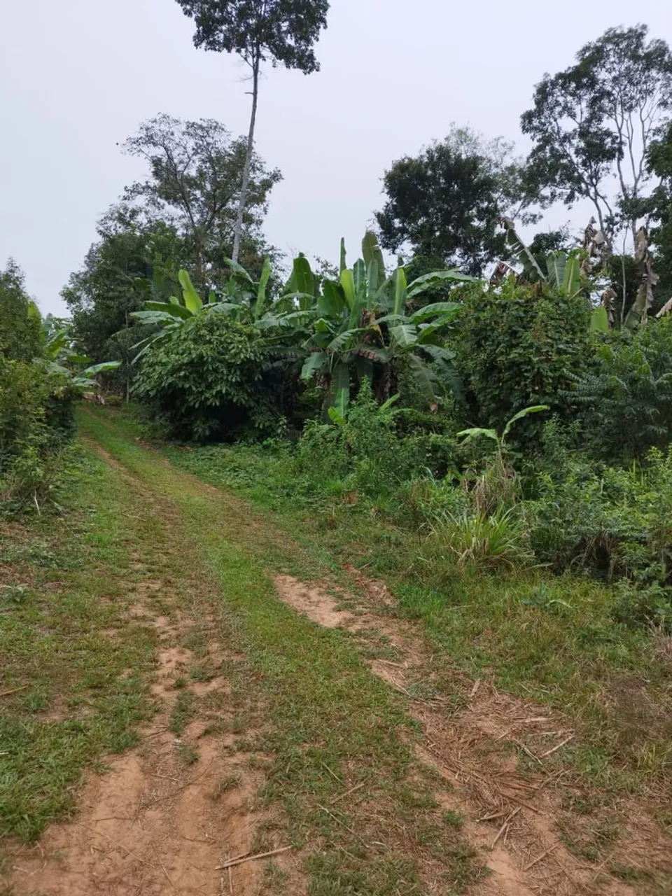 Chácara em Porto Acre, ramal Flaviano, asfalto da porta.