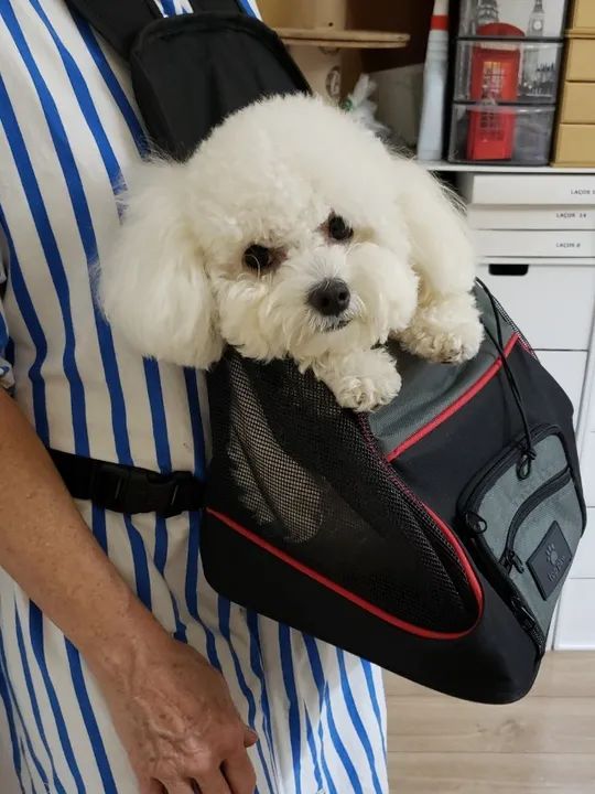 Mochila para Cachorros - Foto 2