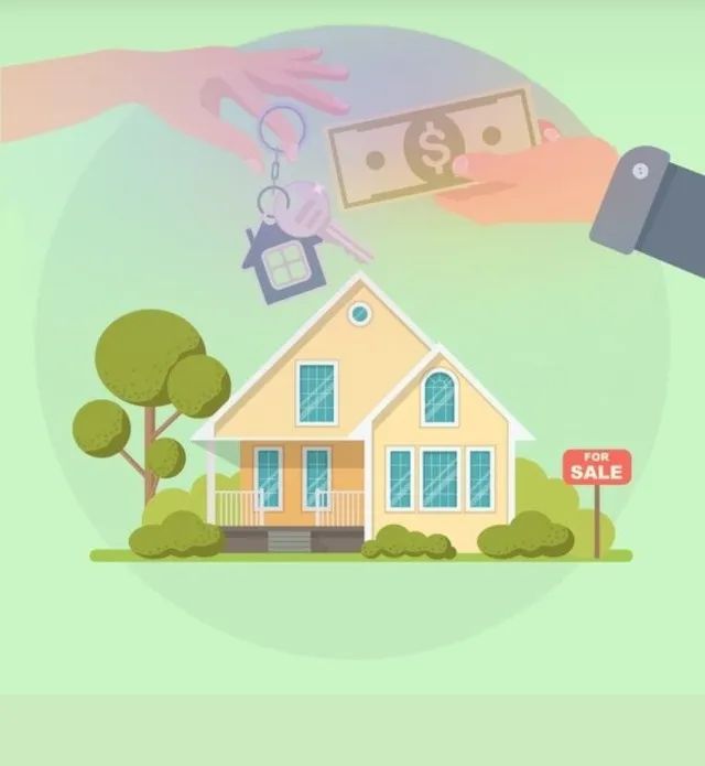 Foto - Ananindeua - Icuí-Guajará