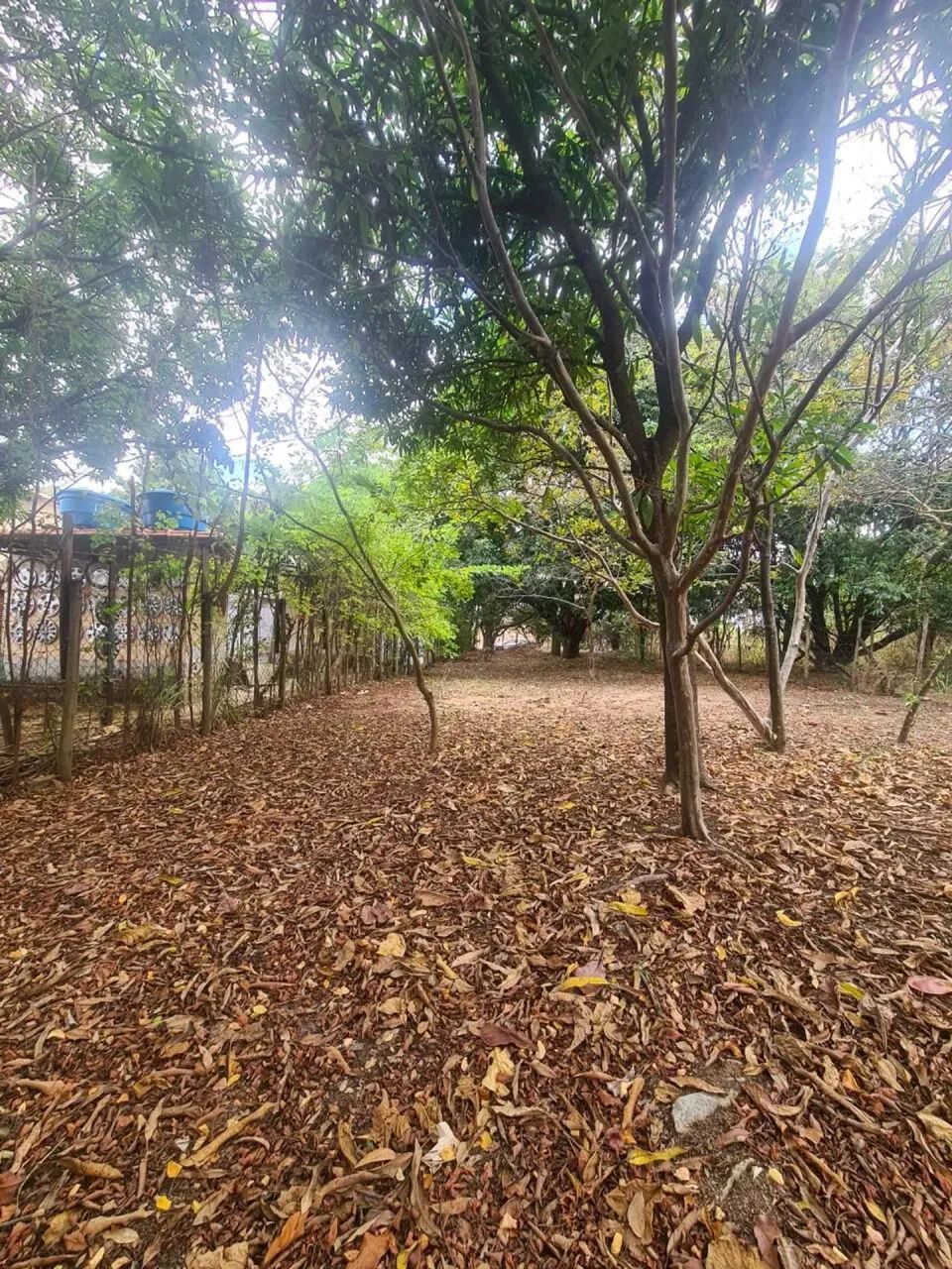 02 lotes juntos no Bairro Trevo - Foto 5