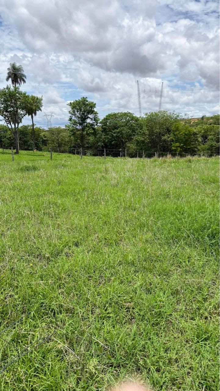 Formosa Goiás 22 alqueires  - Foto 4