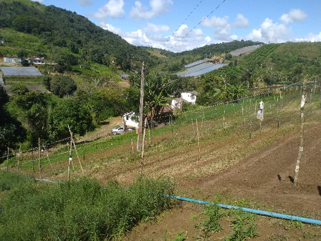 Venda de Propriedade Rural (Sitio) - Gravatá/PE