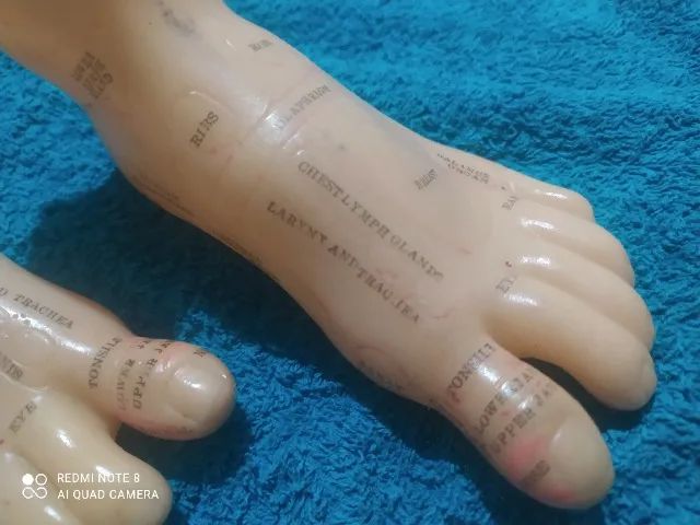Modelo Anatômico Par De Pés Para Reflexologia - 19 Cm - Foto 5
