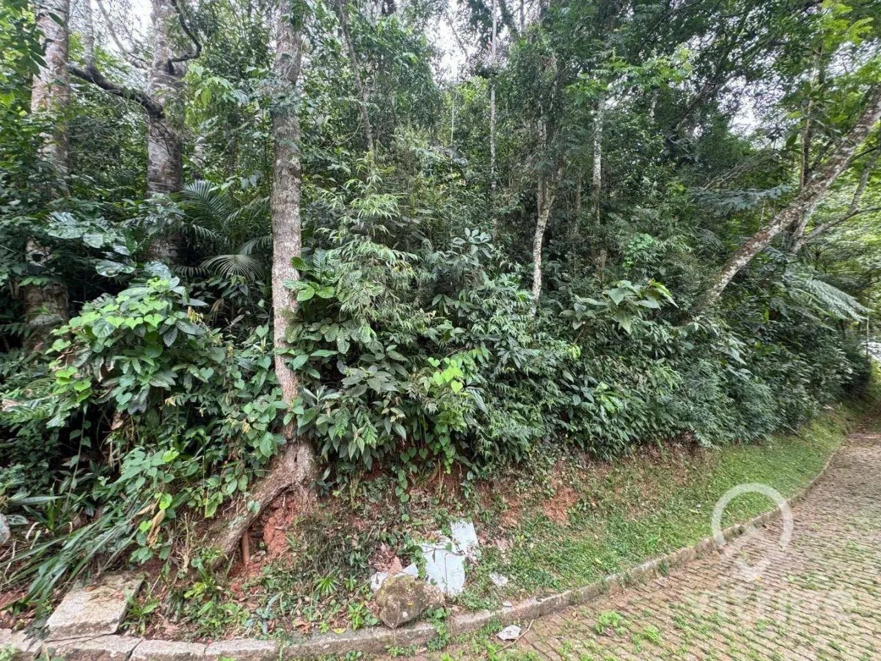 Terreno à venda, 2345 m² - Ponte da Saudade - Nova Friburgo/RJ - Foto 5