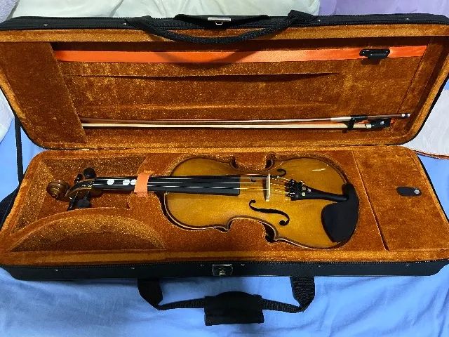 Violino 4/4 Eagle Ve 441 Ajustado Com Estojo Luxo Retangular