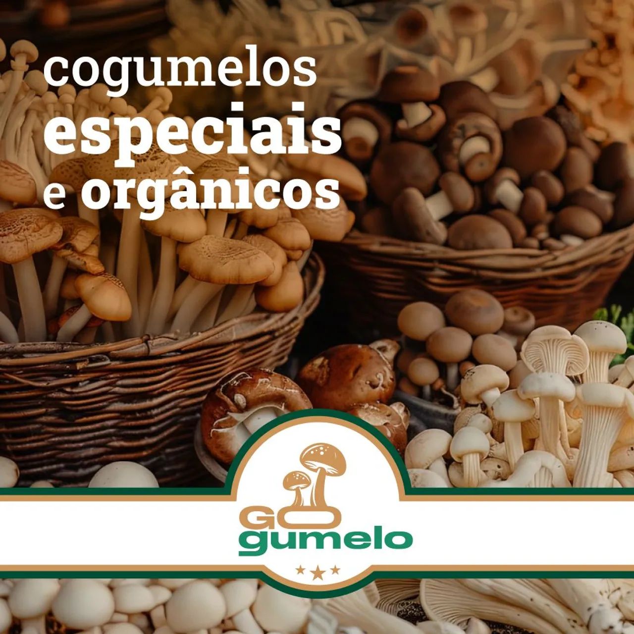 Cogumelo fresco - shitake e shimeji - Foto 2