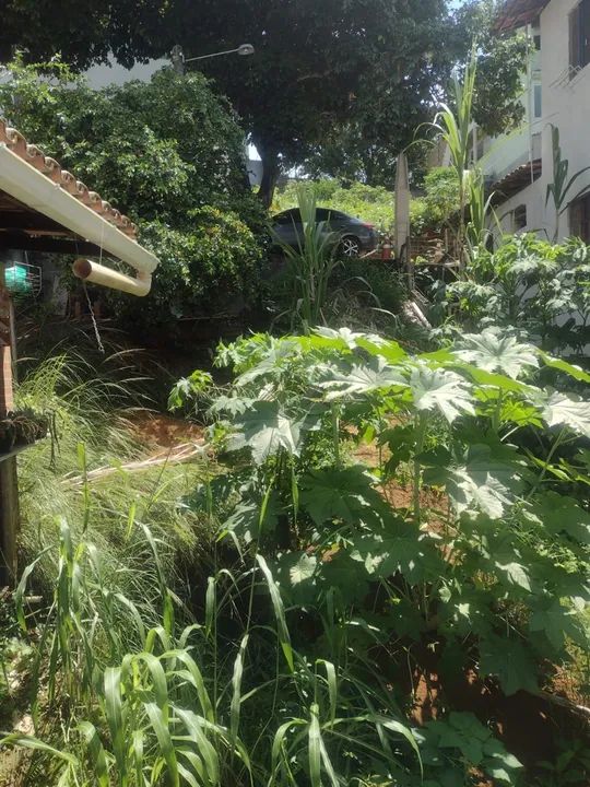 Terreno + Kitnet a venda em Iriri - Foto 3