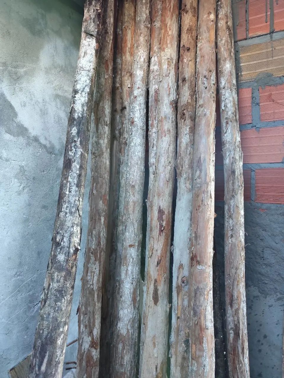 Ma 12 Madeiras de eucalipto para construção 2,80 Metros *ESCORAS* - Foto 2