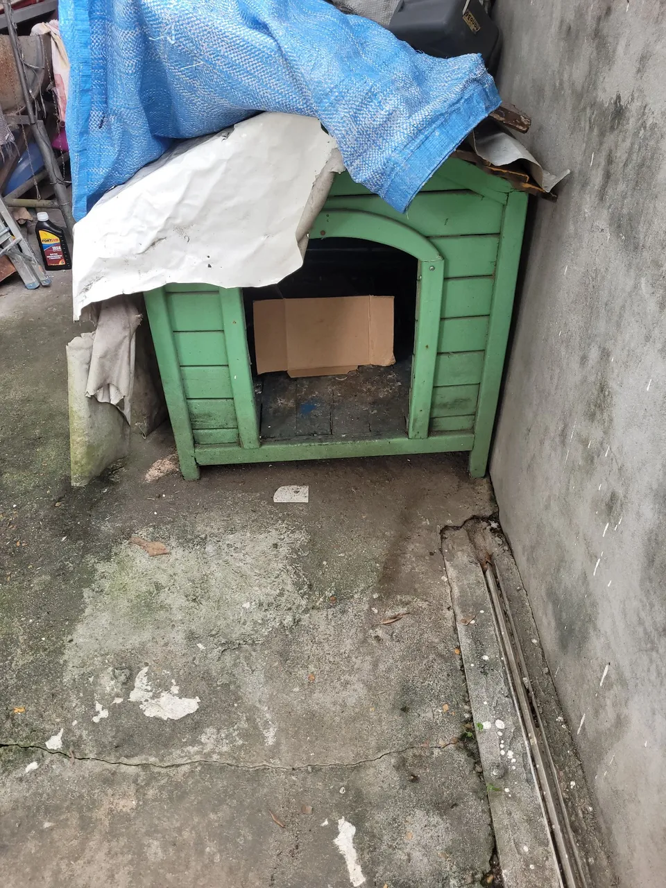 Casinha para cachorro verde