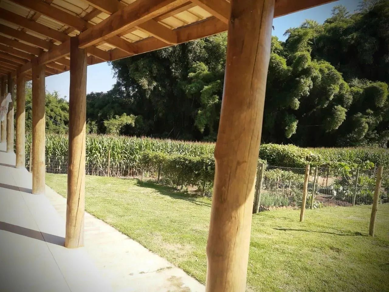 Lindo Sitio com 18 hectares 180 mil metros com piscina e muito verde oportunidade - Foto 2