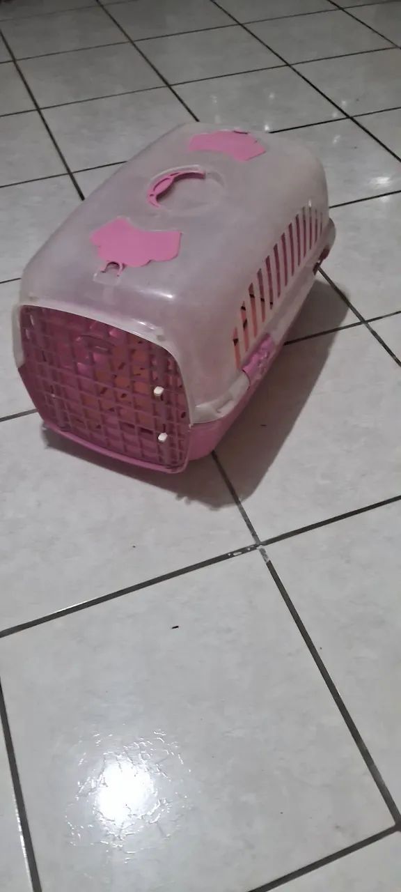 Caixa de transporte PET - Foto 2