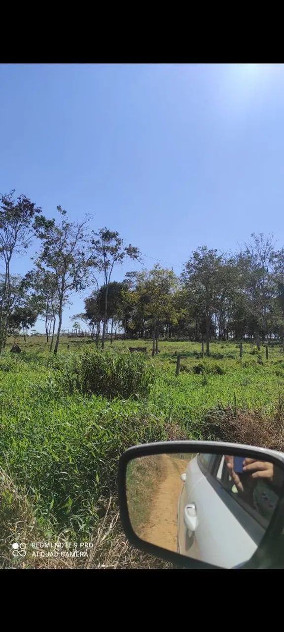 Área verde de 3 hectares - Foto 3