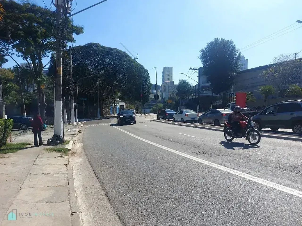 PERDIZES MARAVILHOSA!! - Foto 4