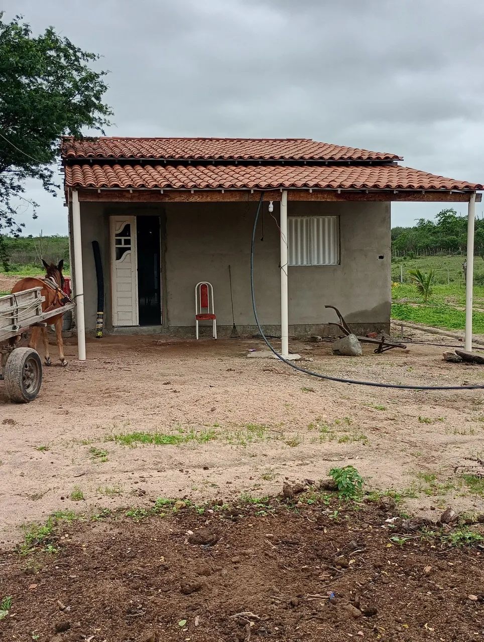 Vende-se uma casa com terras 