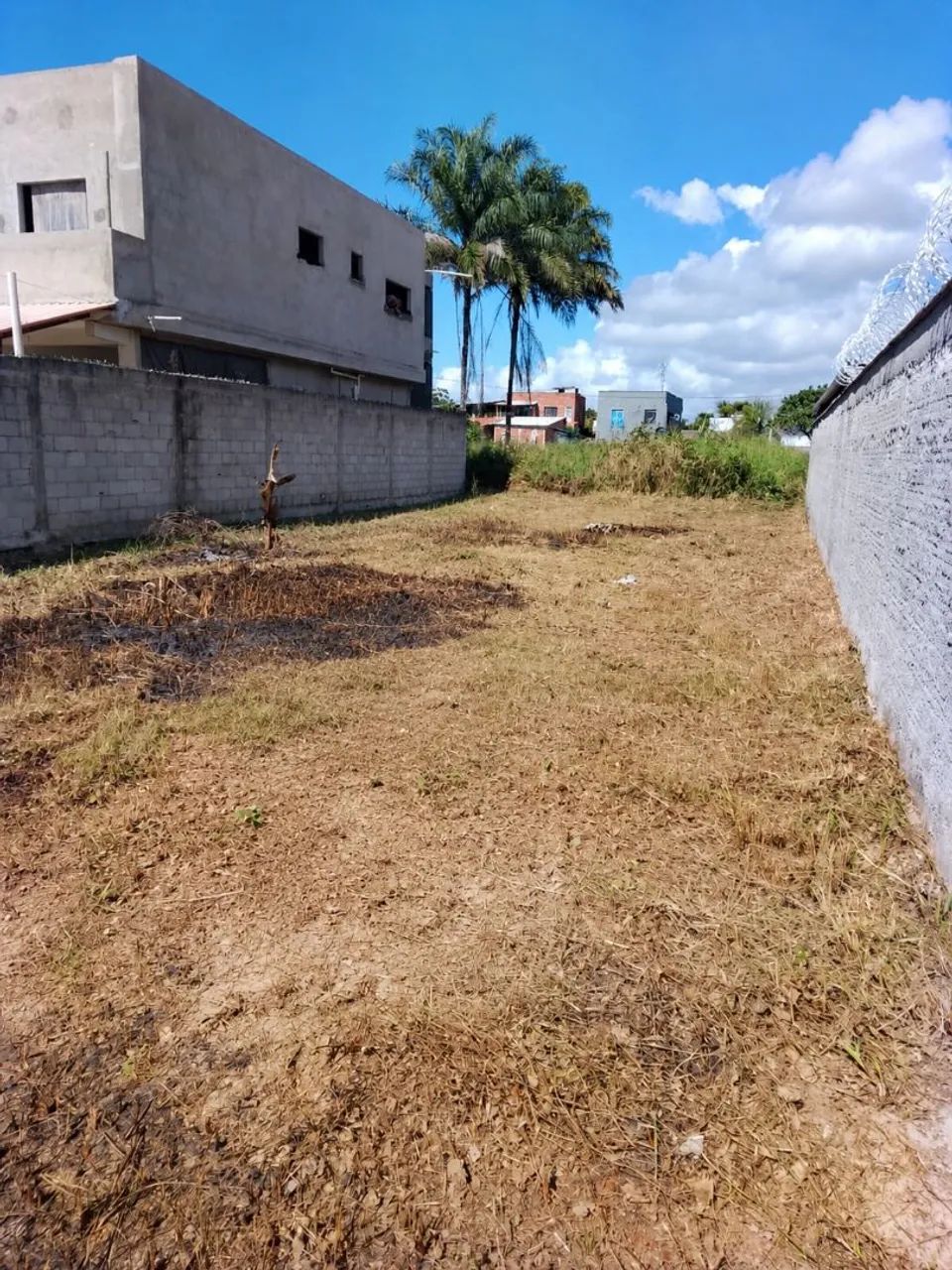 TERRENO PRAIA NORTE  - Foto 2