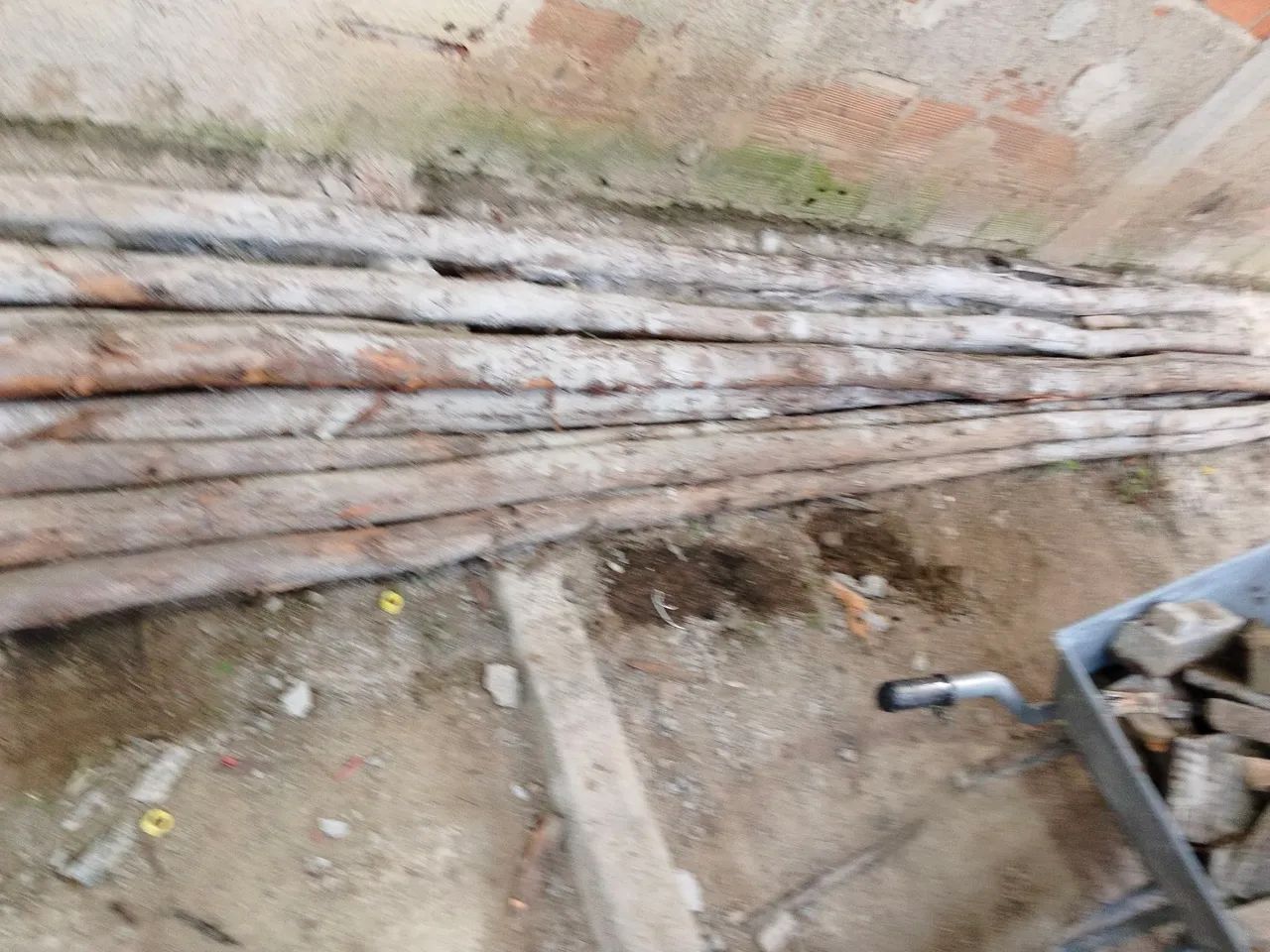 Eucalipto para escora - Foto 2