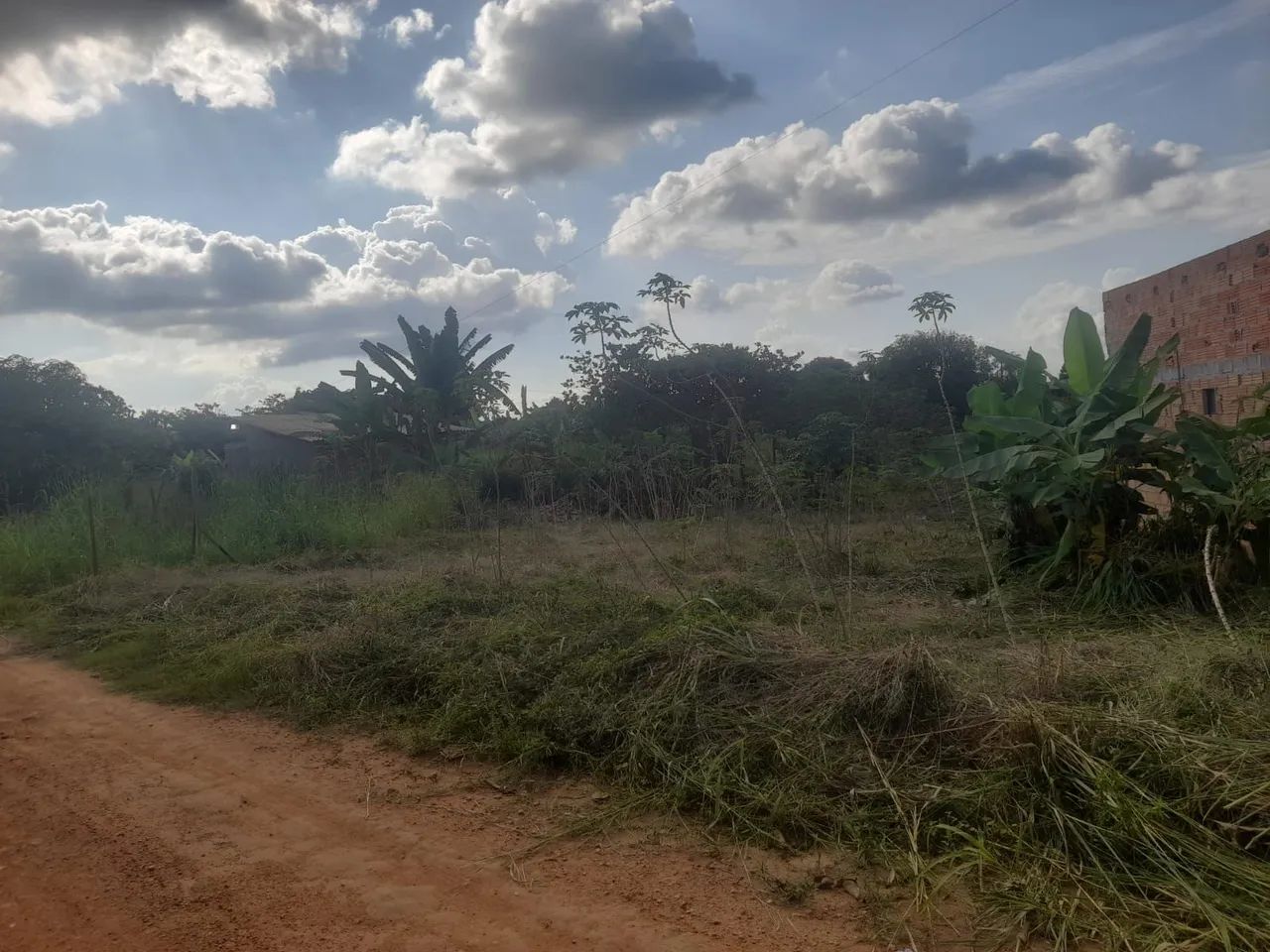 Vende-se  uma mini chácara  - Foto 3