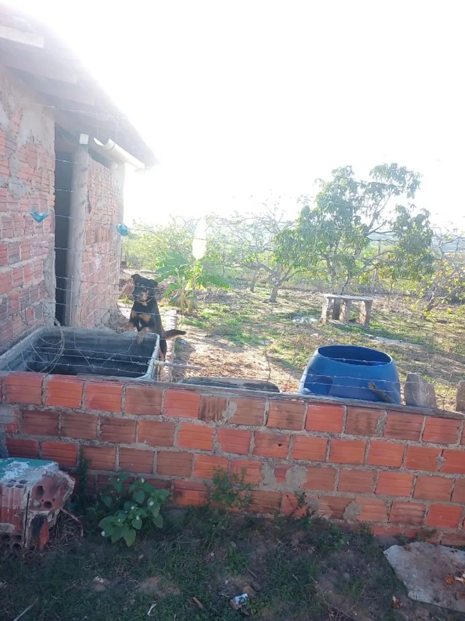 Terreno em Propriá - Foto 2