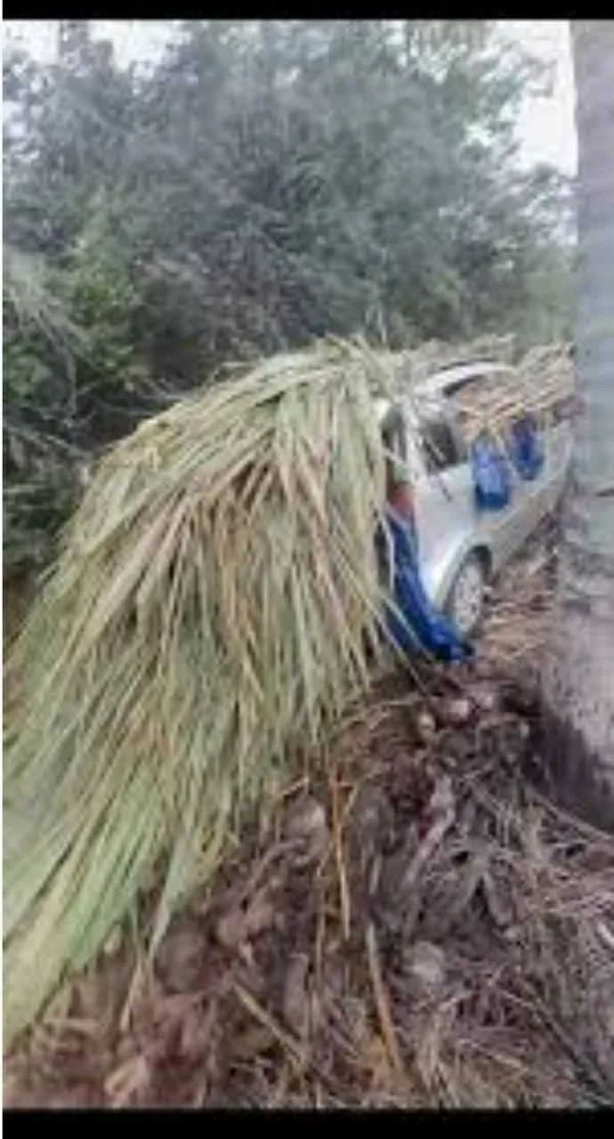 Doação de capim