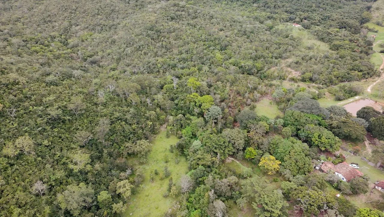Fazenda de 30 alqueires e 61 litros  - Foto 4