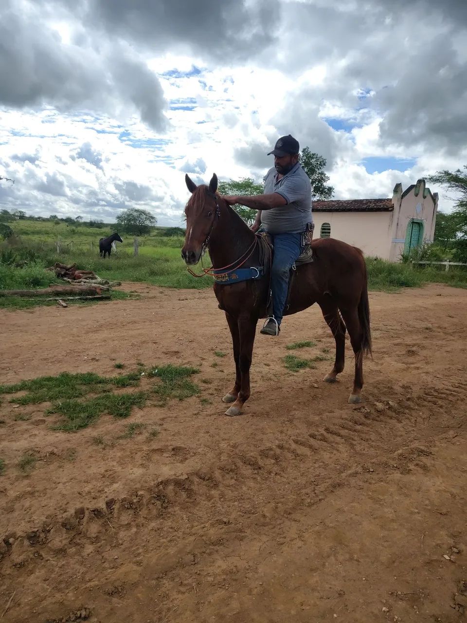 Potro QM puro de origem  - Foto 4