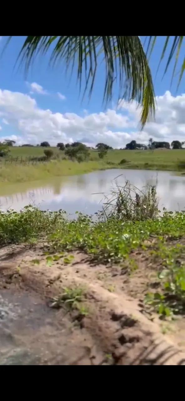 Chácara Campo Alegre valor a combinar - Foto 4