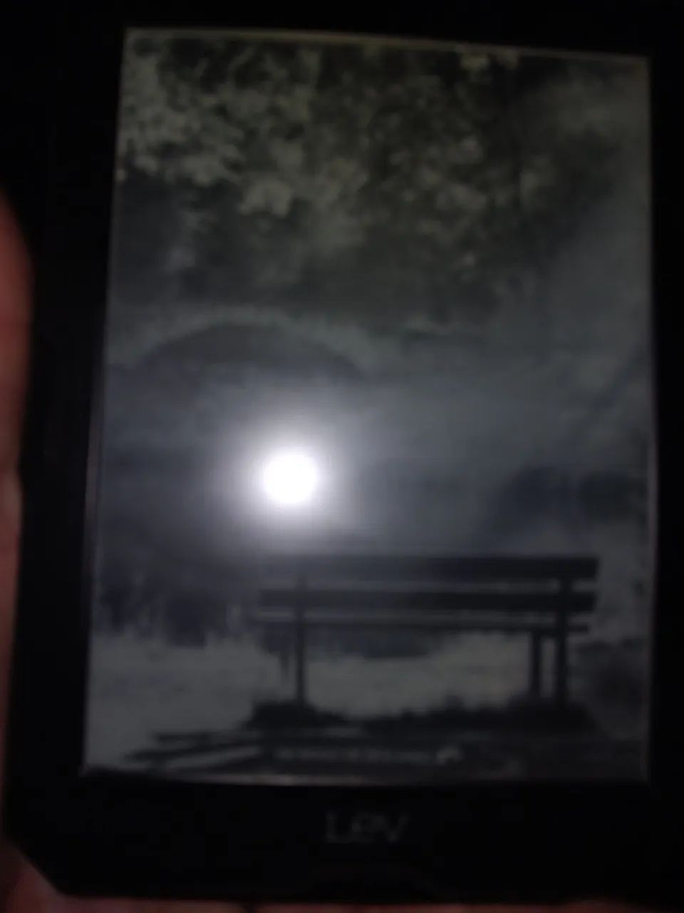 Livro Digital Saraiva 