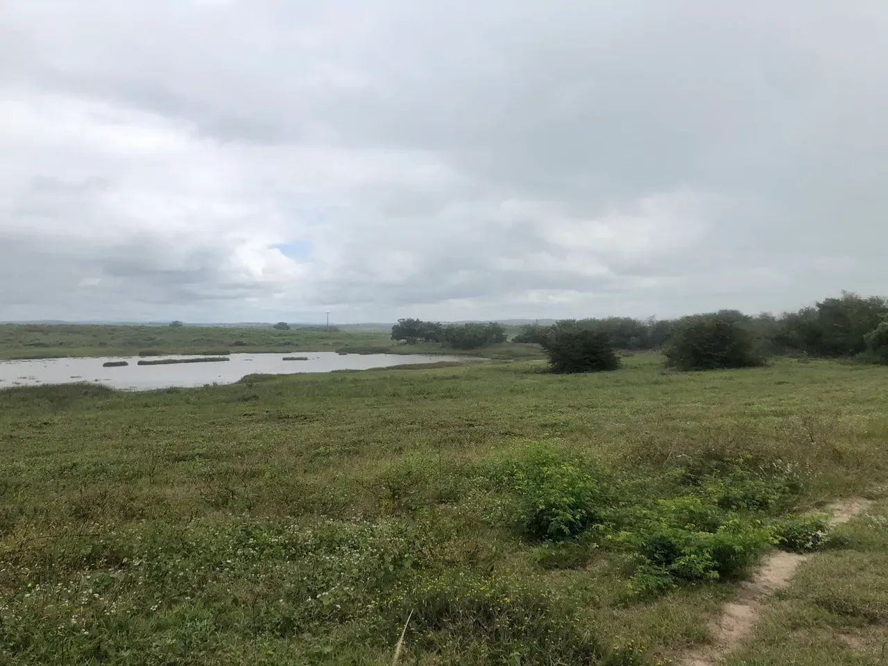 Fazenda para Arrendar - Foto 3