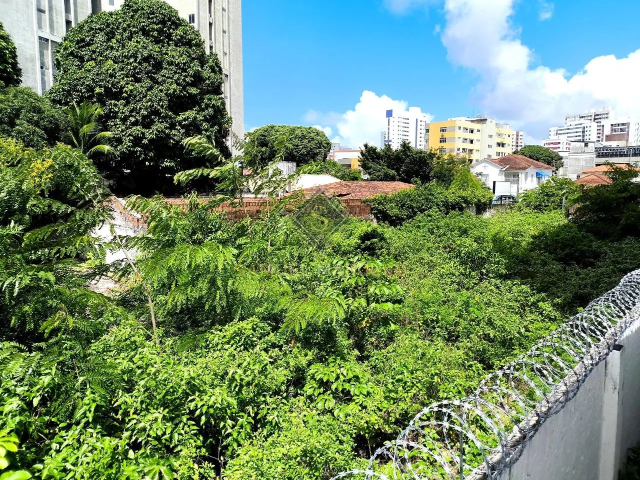 Terreno à venda em Encruzilhada - Recife - Foto 4