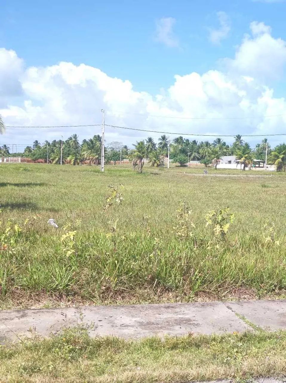 LOTE NO CONDOMINIO MIRIDIAM PRAIA MAR [8523] - Foto 3