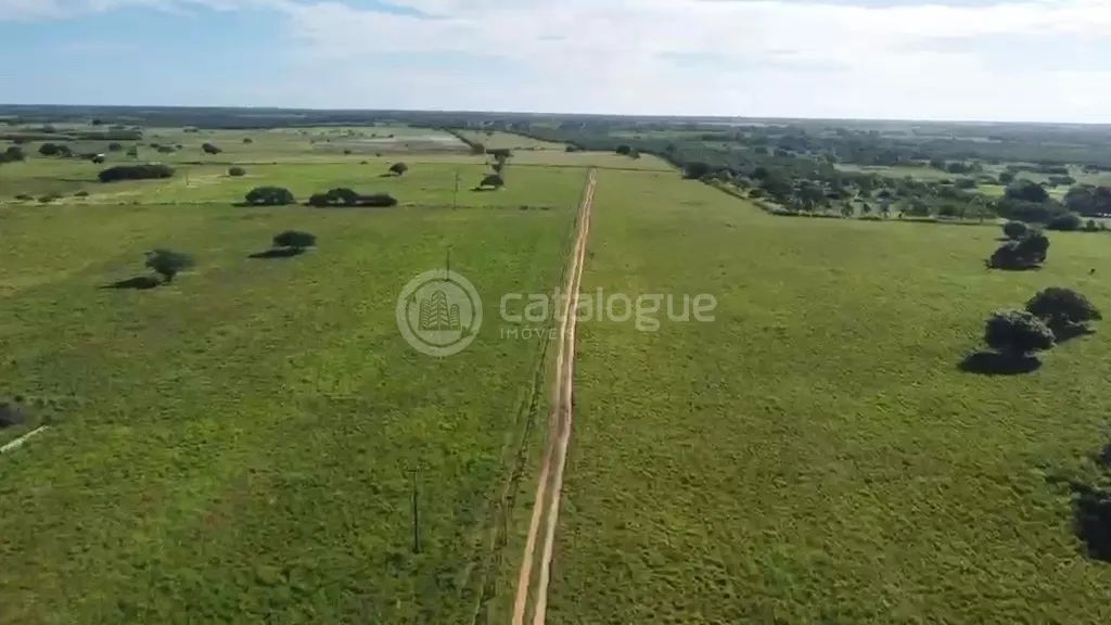 Fazenda em Poço Branco 239 ha - Foto 5