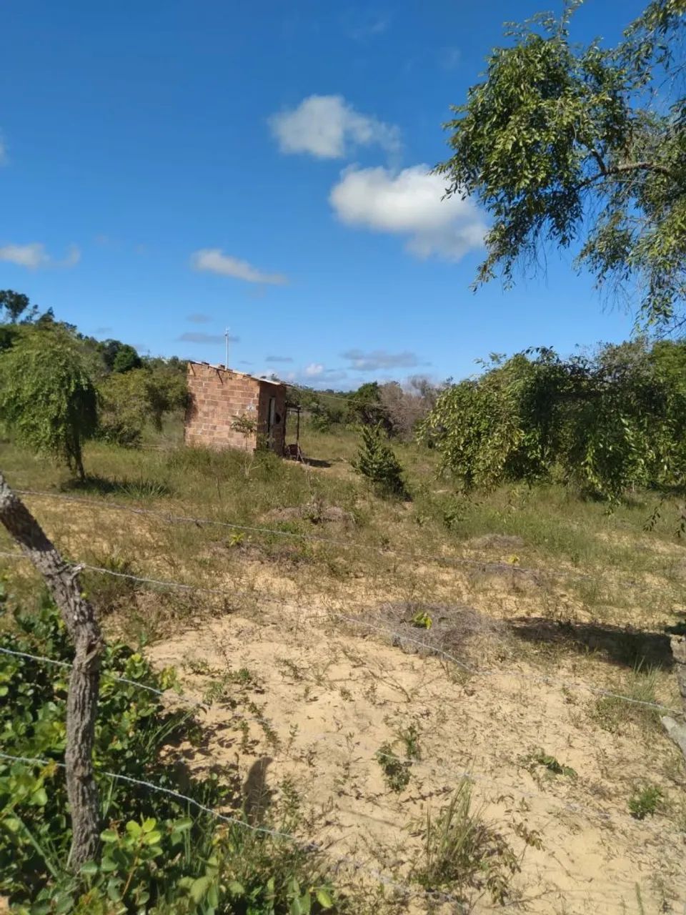 Terreno  - Foto 3