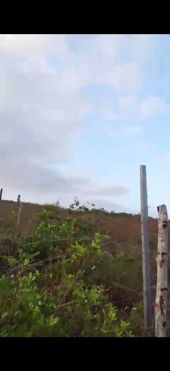 Terreno em Barreirinhas  - Foto 3