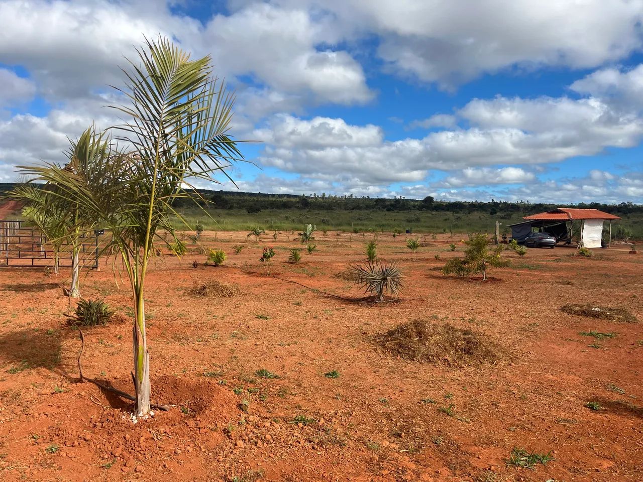Vendo sítio 2 hectares BR 365, km 26 entrada do Canto de Engenho  - Foto 2