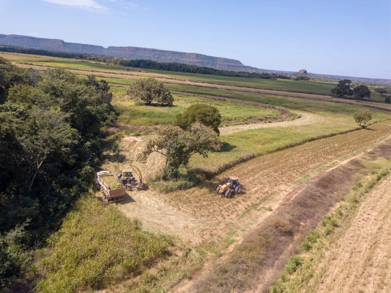 Fazenda em Goiatins/Tocantins 