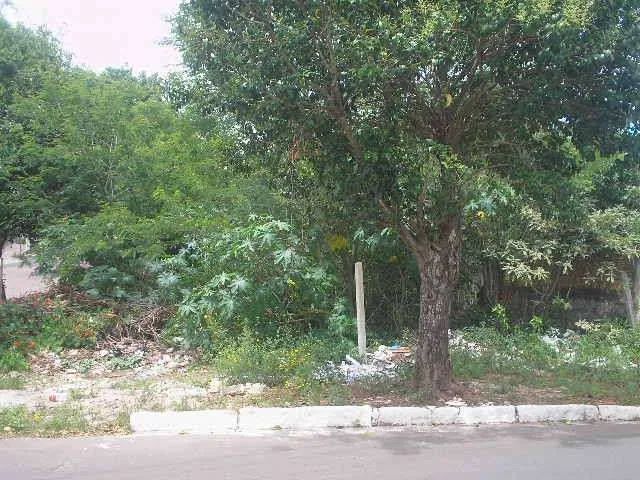 Área/Lote/Terreno em MARECHAL RONDON. Área/Lote/Terreno em MARECHAL RONDON. - Foto 2