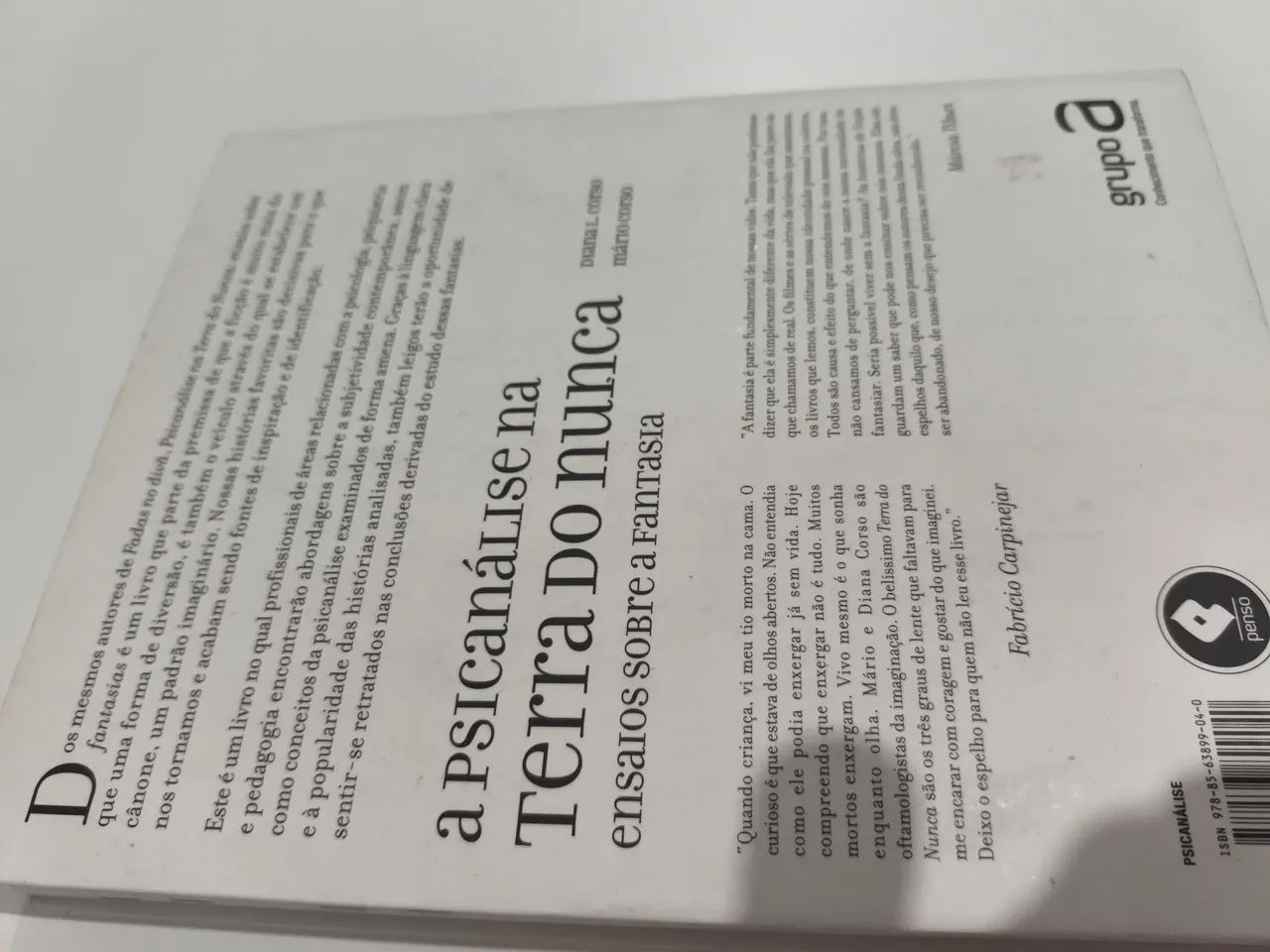 Psicanálise na Terra do Nunca - Foto 2