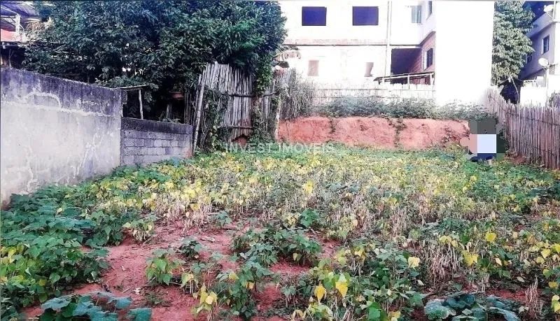 Terreno - Ubá MG