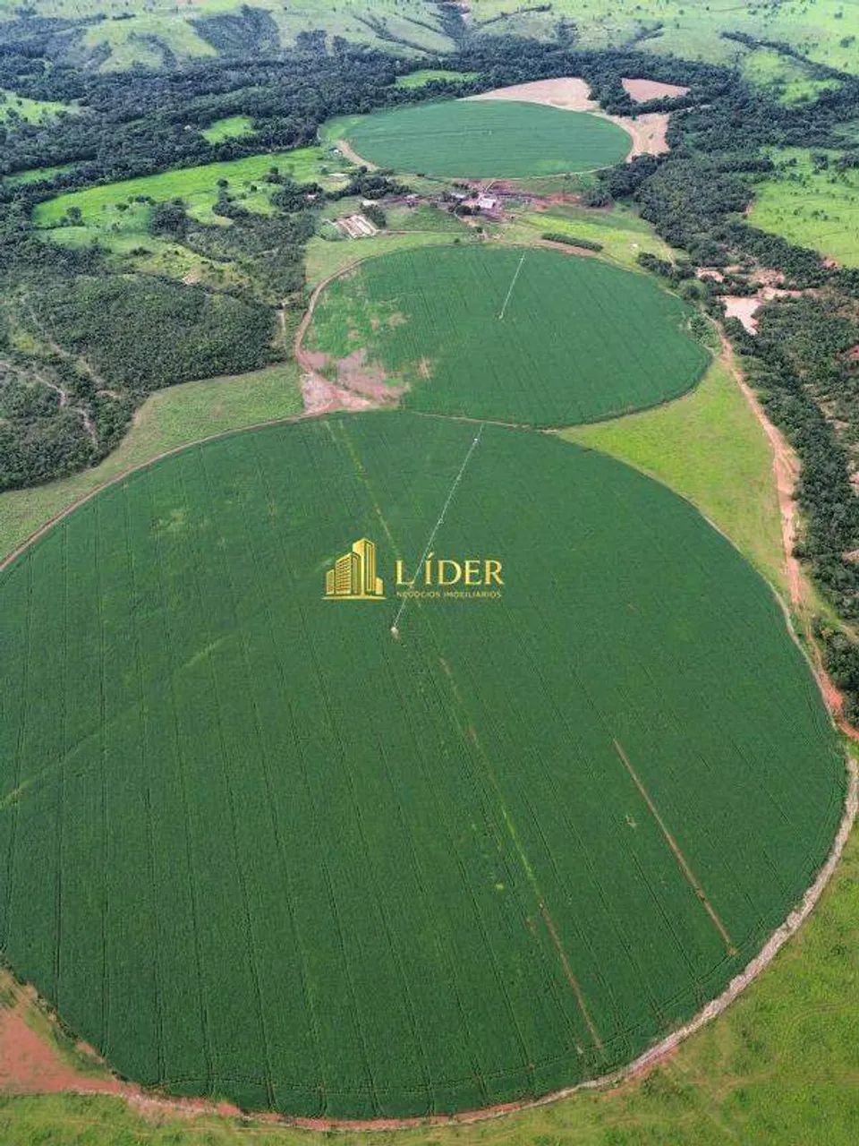 Fazenda no Município de Lagoa Grande - MG