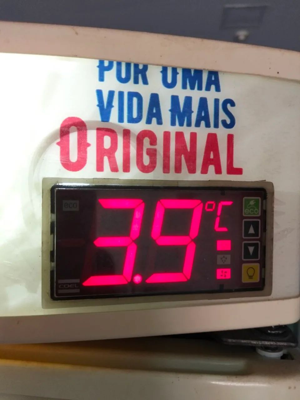 Cervejeiro da original  - Foto 4