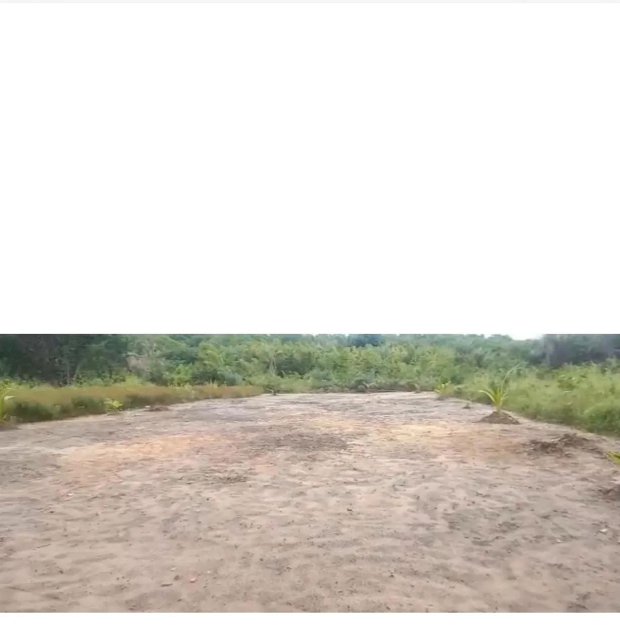 Terreno  - Foto 4