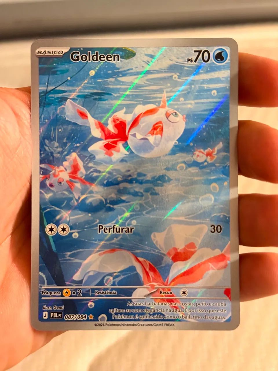 CARTAS POKÉMON 