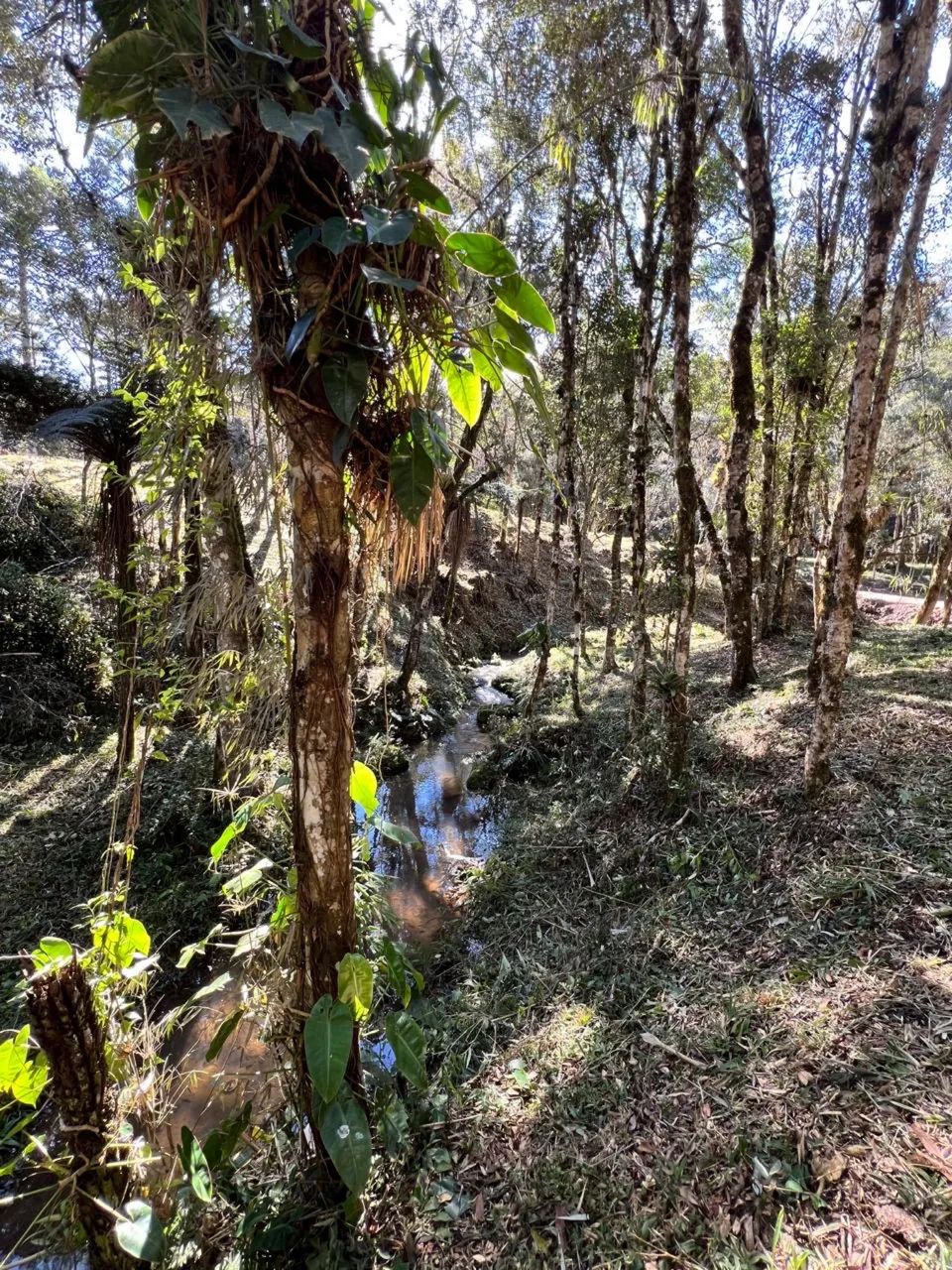 Chácara disponível para venda - Foto 5