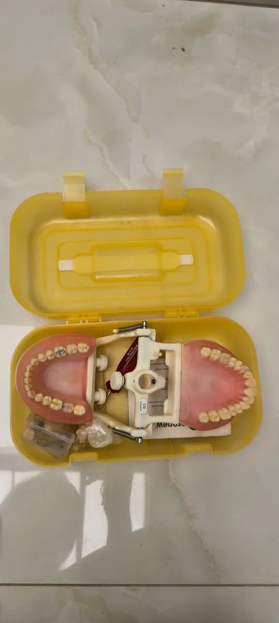 Manequim Pronew Dentistica + dentes extras.