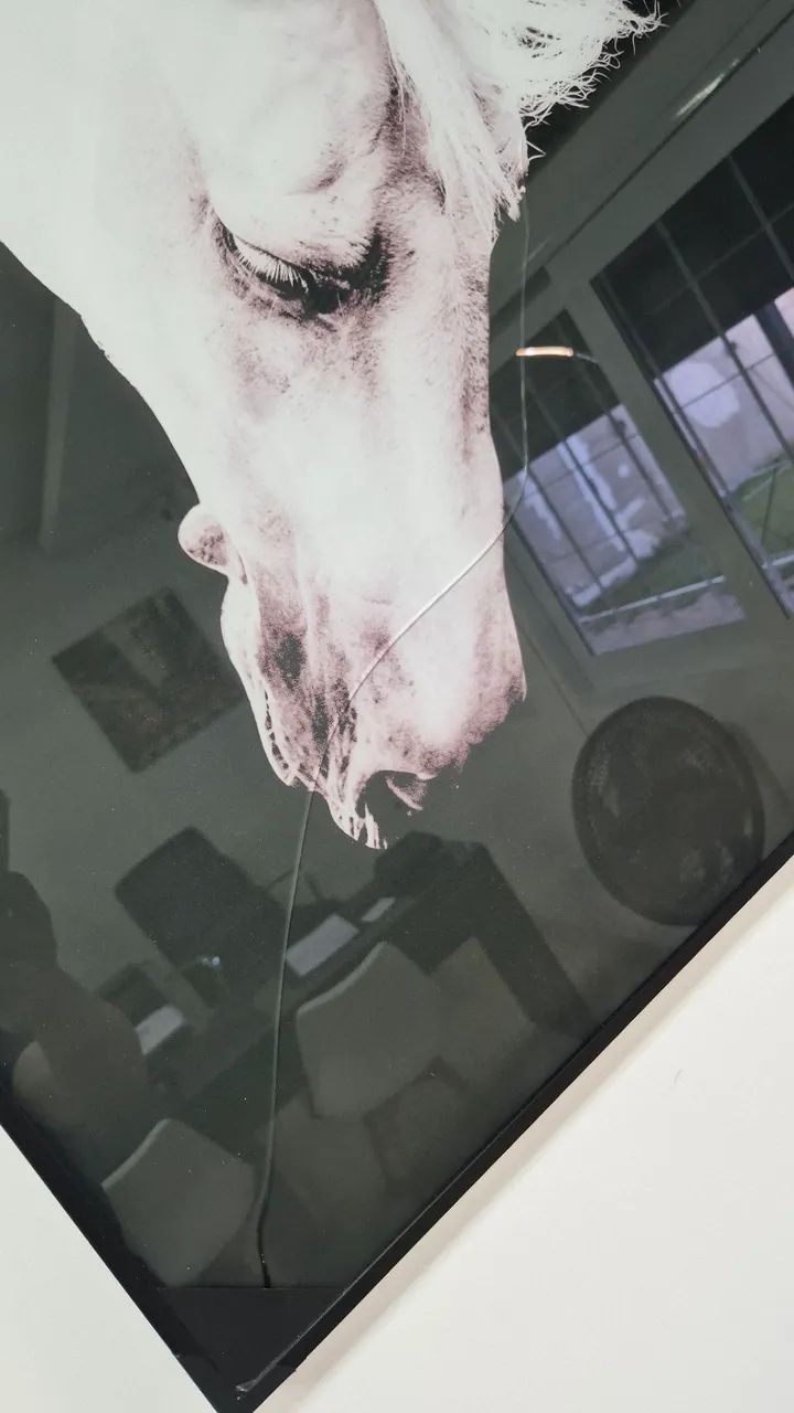 Quadro - Foto 2