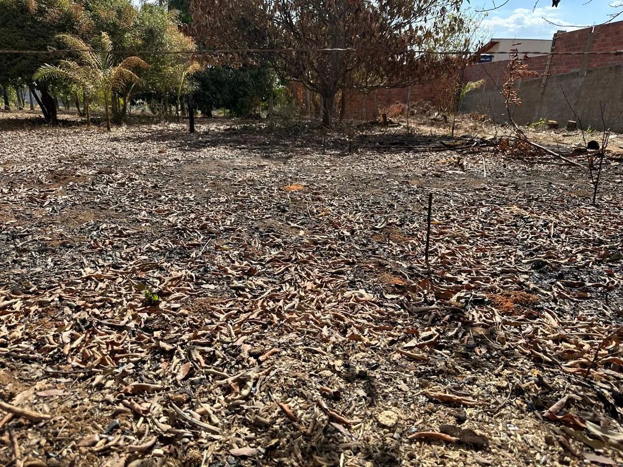 Lote em Aragoiania 